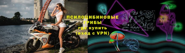 стаф Алексин